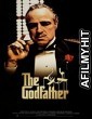 The Godfather 1 (1972) Hindi Dubbed Movie BlueRay