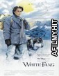 White Fang (1991) Hindi Dubbed Movie WEBRip